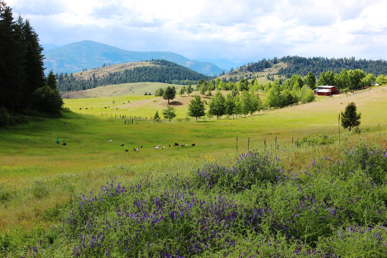 Pleasant Valley Rice Εξωτερικό φωτογραφία
